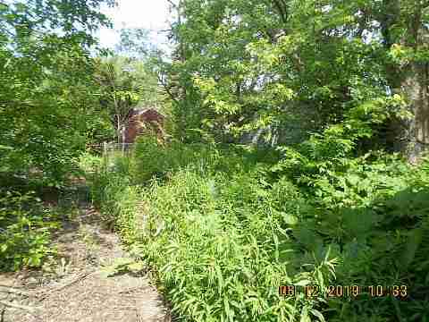 18961 Joann (6)_m.jpg